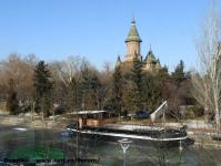 Imagine atasata: Iarna - 2017.01.07 - 26.jpg